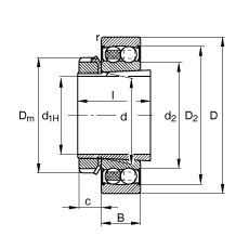 Подшипник 2209-K-2RS-TVH-C3-H309 FAG