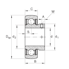 Подшипник AY25-NPP-B INA
